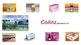 Colinz Laboratories Ltd Q1FY25 PAT at Rs. 13.72 lakhs